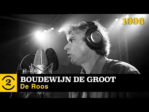 De roos video thumbnail