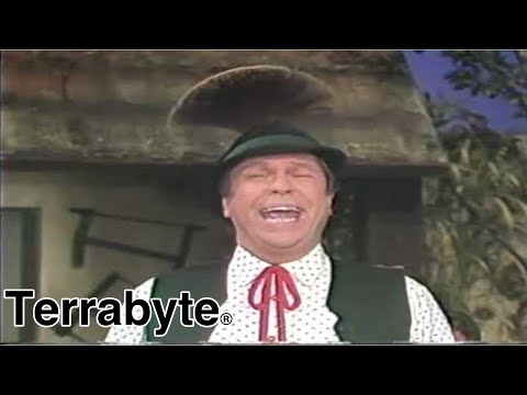 Franzl Lang - Auf und auf voll Lebenslust (Offiziell)