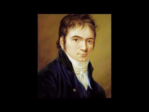 L. van Beethoven  - Duo No.1 in C major for clarinet and bassoon