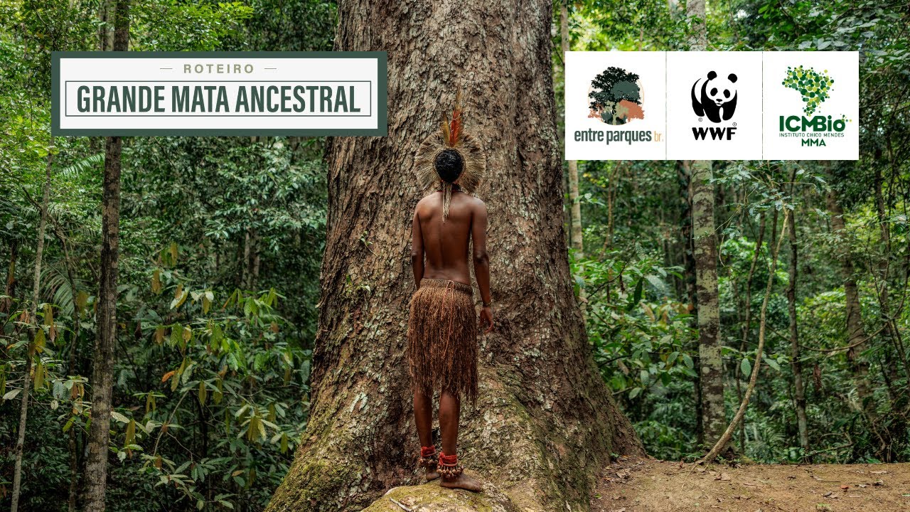 Extremo sul da Bahia além da praia | O chamado da GRANDE MATA ANCESTRAL [TEASER]