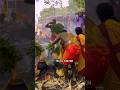 மஞ்சபானை ஆட்டம் நெடுவிளை பத்திரகாளி 