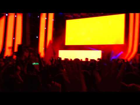 Ultra Japan 2014 Steve Angello - Knas