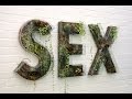Net Cafe Sex Online 1998