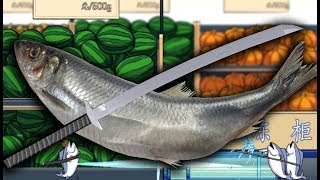 CATS, LADIES & FISHES! | Salty Fish Go!