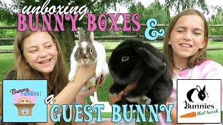 Unboxing Bunny Boxes & A Guest Bunny! | Crazy8Family