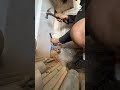 Man rescues puppy stuck in wall - Video