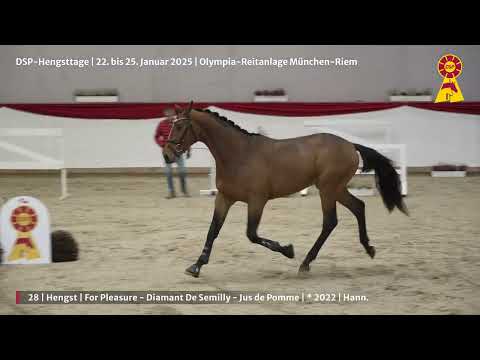 Lot 28 v. For Pleasure / Diamant de Semilly