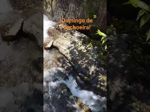 Domingo de cachoeira! #natureza  #cachoeira #cachoeirapaulista #fauna