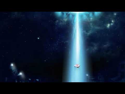 08. Guns And Ntsayz (Ft Vortex)