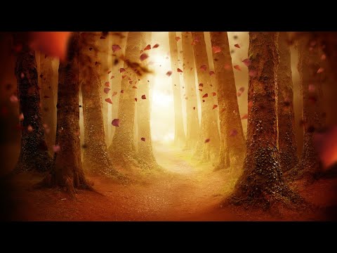 Dark Autumn Music - Crimson Leaves