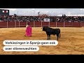 VOX: Nieuwe partij strijdt voor Spaanse tradities