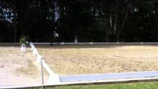 Video od Fürstenberg