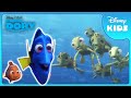 Exploring The Open Ocean Finding Dory Disney Kids
