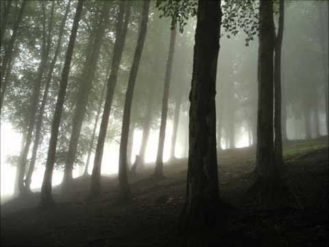 Darkness Enshroud - Bring Forth A Winterlike Frost