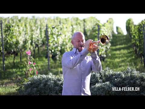 Dani Felber setzt musikalischen Akzent für die Region Bodensee