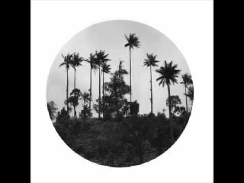 Paulo Olarte - Mil Anos (Goldwill Remix)