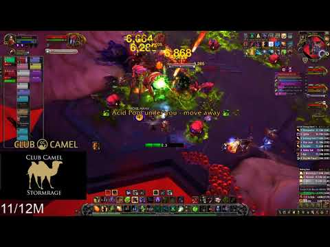 Mythic Hivemind Destruction Warlock PoV | World of Warcraft 8.3