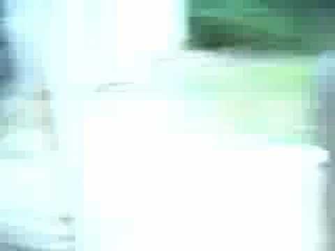 Gum Stuck In Her Hair