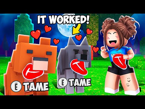 I Tested 21 HIDDEN SECRETS In 99 Nights In The Forest!