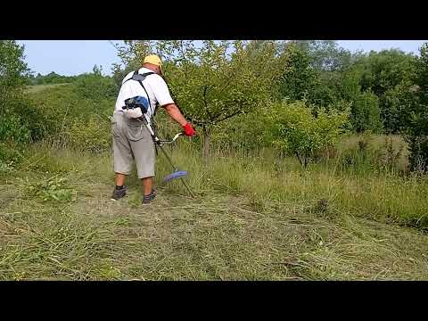 la cosit iarba Slatina de cris Arad