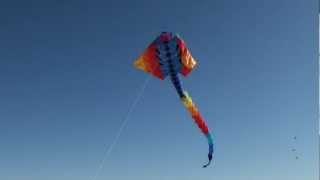 preview picture of video 'The Giant Manta Ray Kite flying high over the Pleasant Prairie Recplex'