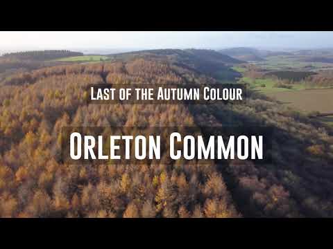 Last of the Autumn Colour: Orleton Common | Stunning views!