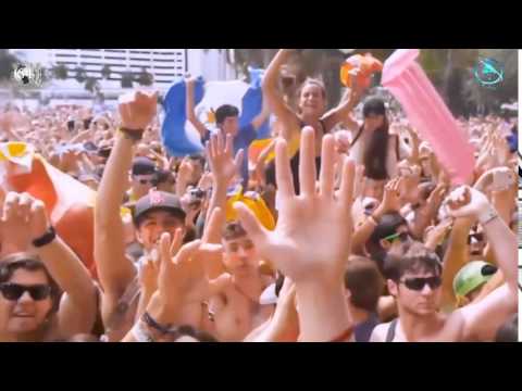 Dj Army   Titanium 2013