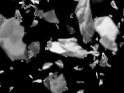 Ais the Chef & Dj Creep - Acelasi eu