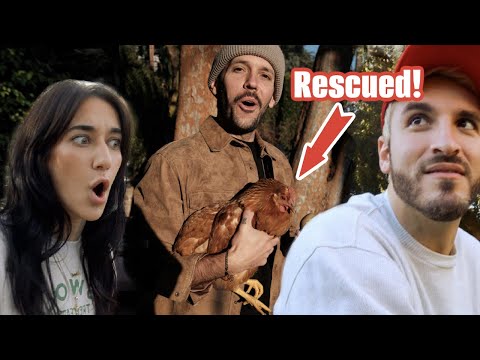 WE SAVED THIS CHICKENS LIFE!