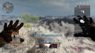 コール オブ デューティ ウォーゾーン　まったりはじめるよ　誰か参加して～　cod warzone
