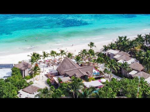 La Zebra Tulum – Beachfront Boutique Hotel with a Wellness Soul
