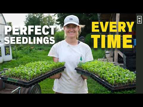 How To Start Seeds Like A Pro Market Gardener | 6 Tips For Success