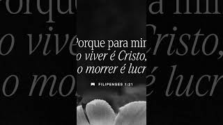 Jesus Cristo é vida. Nada se comparar a viver na sua presença 🙏 #fe #deustemumapalavrapravoce #amor