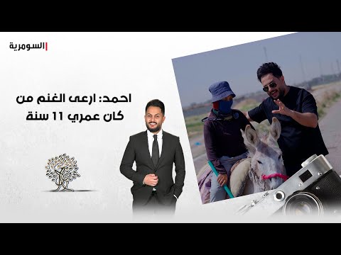فيديو | احمد : ارعى الغنم من كان عمري 11 سنة