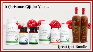 12 Day's of systems, A Gift for You