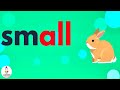 Learn ALL Words For Children With WORD FAMILIES Reading Sentences With Phonics