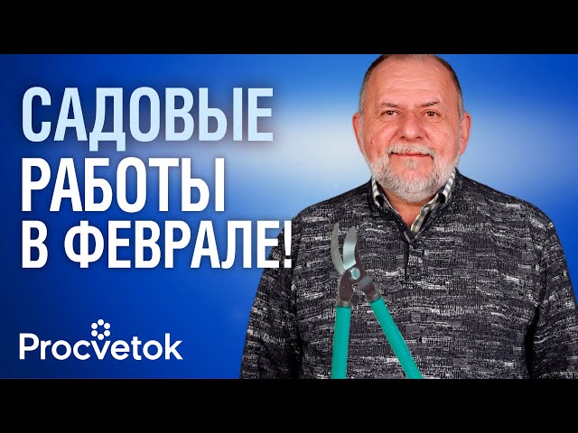 САД В ФЕВРАЛЕ! Обязательно сделайте эти работы до прихода весны