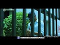Latest Jawan Movie Trailer By Goldmine Movie