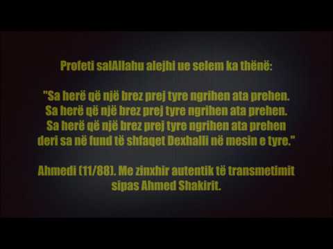 A janë shkaku i terrorismit Abdul Vehabi dhe papunësia - Nexhmij