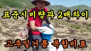 고추밭에 밑거름으로 복합비료를 뿌려보니 표준시비량과는 차이가나네요
