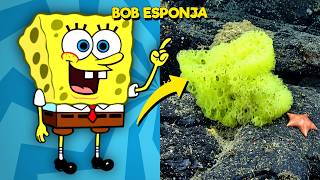 QUIZ BOB ESPONJA 🧽 | Você Consegue Acertar Todas?