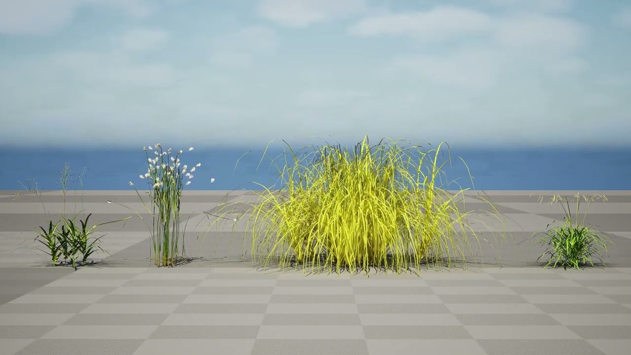 GWOrnamental Grasses Sedges collection 3D Model