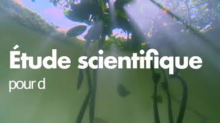 Vote à mon projet pour la planète