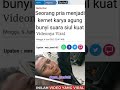 Viral Seorang Kernet Dengan Suara Siul Kuat Sampai Ke Jantung Bus