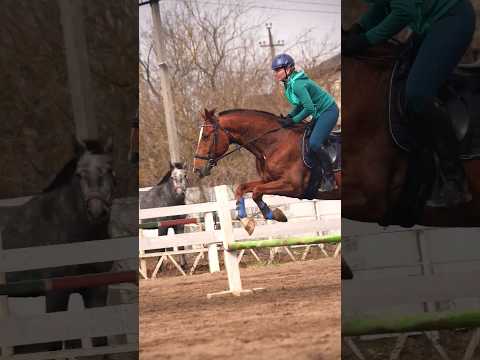 Орландо🔥 тренировка видео Ирины Елизаветиной💖#конныйспорт #конкур #horsejumping #лошади #ксквелес