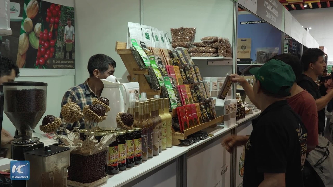 Sector cacaotero de Perú prevé aumentar producción y exportaciones en 2026