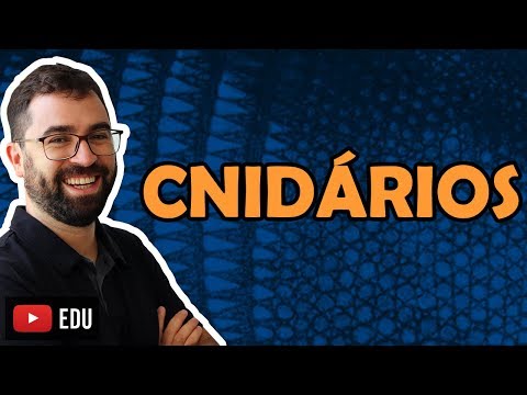 Cnidarians or Coelenterates - Class 09 - Module VI: Zoology | Prof. Guilherme