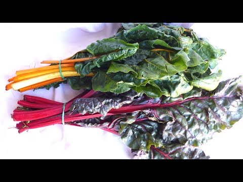 BIETA COLORATA come pulire e cuocere - RICETTE DI GABRI