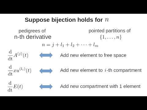 Sheffer Polynomials: Combinatorial Space for Quantum Physics