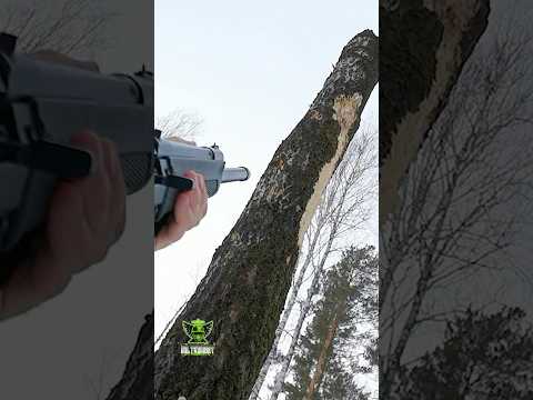 Cutting down a tree with an AK Saiga 12 shotgun #shorts #ak #viralvideo